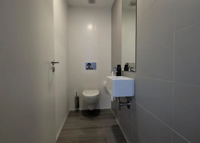 Апартаменты Citadine At Hintze Ribeiro *